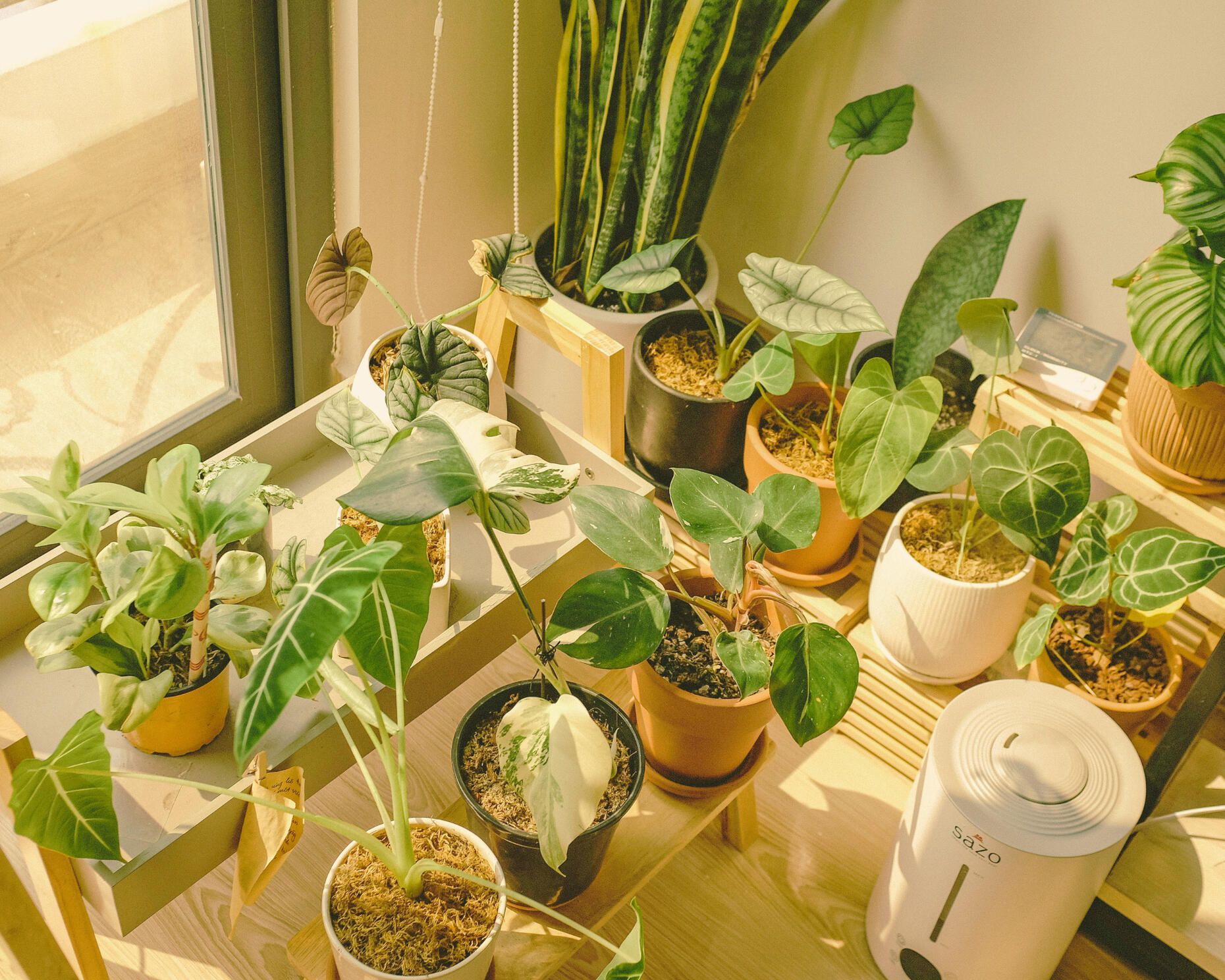 The Green Content Health Check: a scorecard on your current marketing strategy. The same collection of houseplants at a balcony door, photographed from a different angle. An indoor compost bin is also in view. The Green Content Health Check idenifies potential breaches to greenwashing regulation.